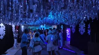 dancingplant — May 2026