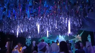 dancingplant — May 2026