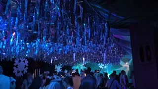 dancingplant — May 2026